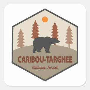 Kariou-Targhee-Waldbär Quadratischer Aufkleber
