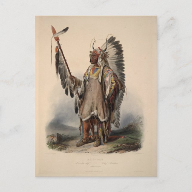 Karl Bodmer - Ein Vorstandsvorsitzender von Mandan Postkarte (Vorderseite)