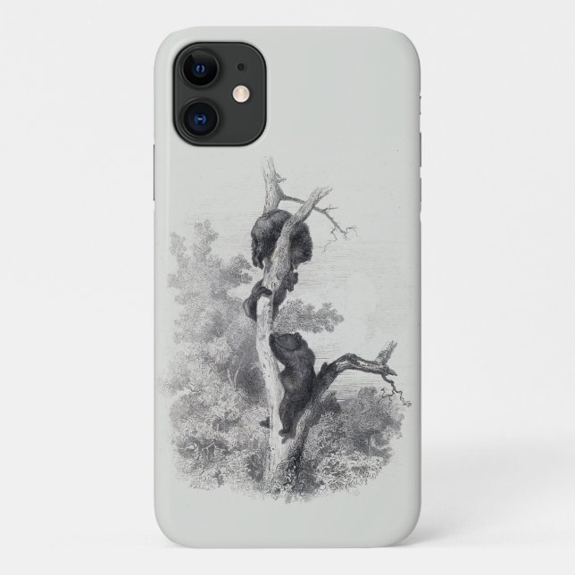 Karl Bodmer - Les Our Bears Case-Mate iPhone Hülle (Rückseite)