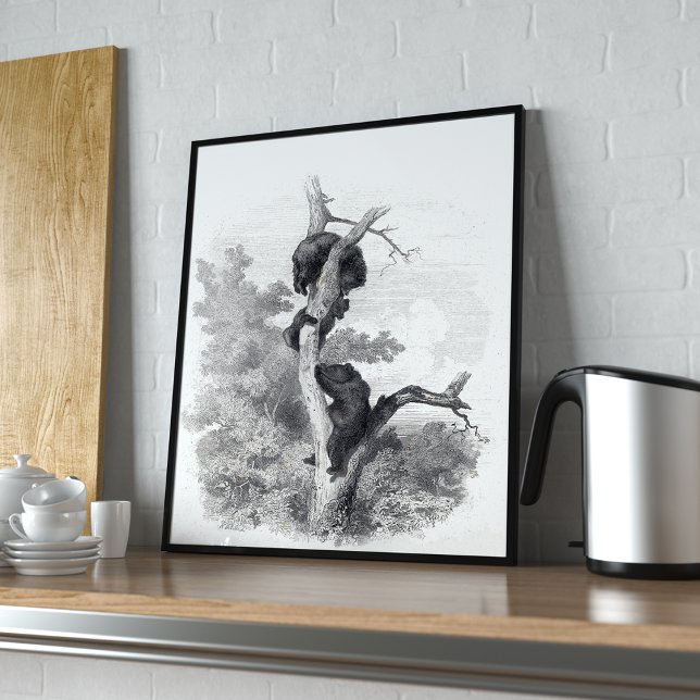 Karl Bodmer, Les Ours (Die Bären) Poster (Von Creator hochgeladen)