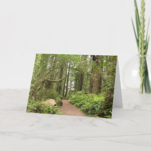 Karl Knapp Trail Karte