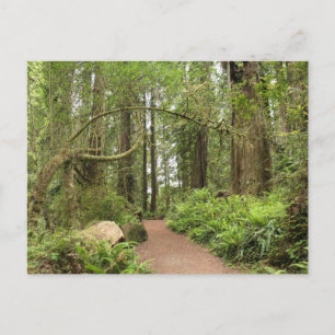Karl Knapp Trail Postkarte