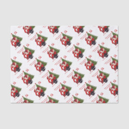 Karl Marx Santa Seidenpapier