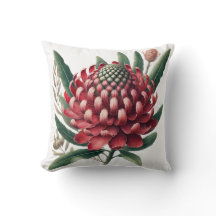 Karmesinrote Waratah Australische Einheimische Blu
