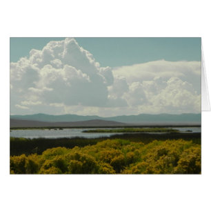 Karminrote Sümpfe, Kaninchen-Bürste