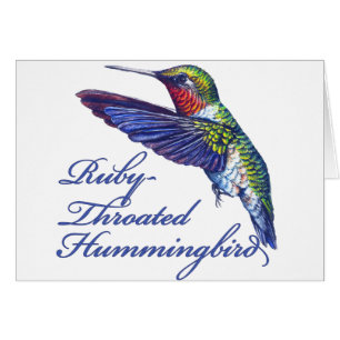 Karminroter Throated Kolibri vorbereitet