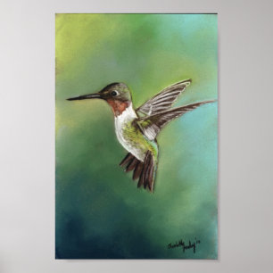 Karminroter Throated Summenvogel-Kunst-Druck Poster