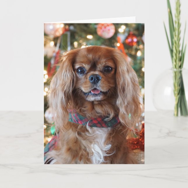 Karminrotes Weihnachten (Vorderseite)