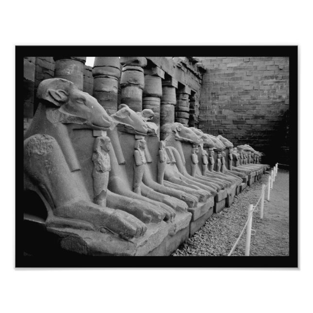 Karnak Temple Lions Fotodruck (Vorne)