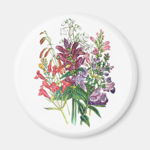 Karneval von Blume Magnet