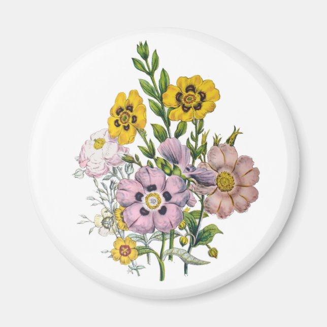 Karneval von Blume Magnet (Vorne)