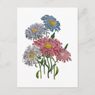 Karneval von Blume Postkarte