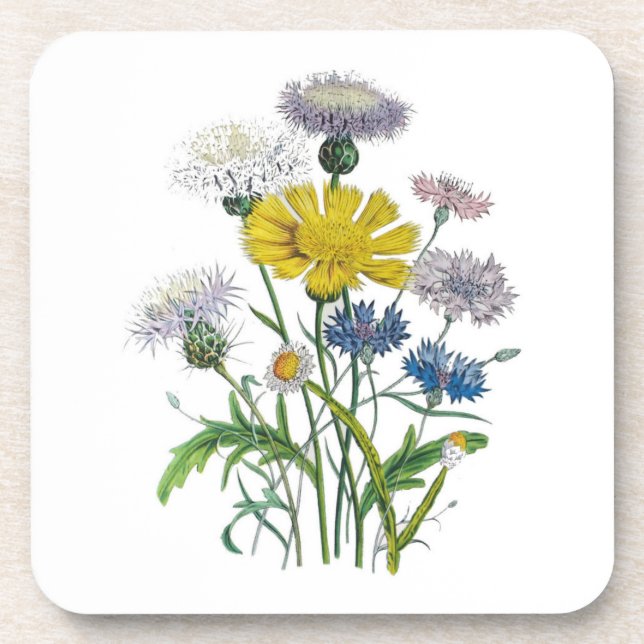 Karneval von Blume Untersetzer (Vorderseite)