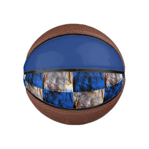 Karnevalskiste Mini Basketball