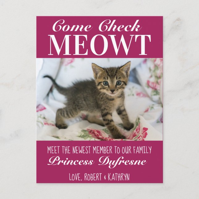 "Karo Meowt" Ankündigung der neuen Katze Lila Postkarte (Vorderseite)