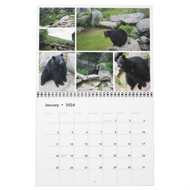 Karolina-Wildtierkalender 2011 Kalender (Jan 2026)