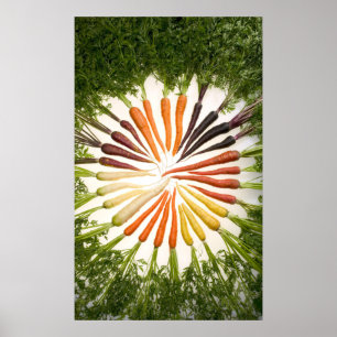 Karotten in vielen Farben auf der Leinwand Poster