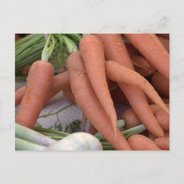 Karotten Postkarte (Vorderseite)