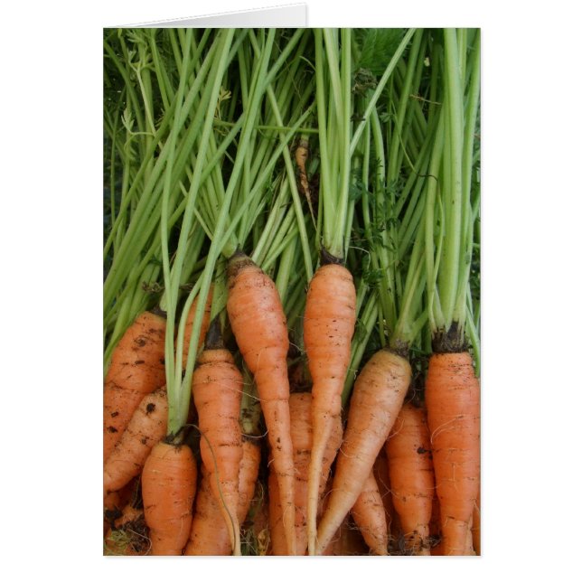 Karottenkarte (Vorne)