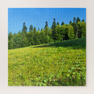 Karpaten-Grünwiese – Rumänien Bergdruck