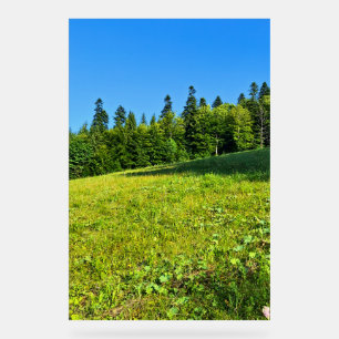 Karpaten-Grünwiese – Rumänien Bergdruck Acrylschild