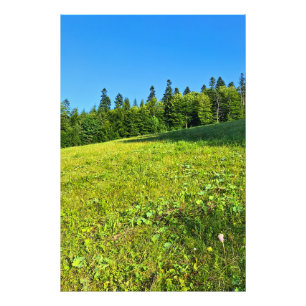 Karpaten-Grünwiese – Rumänien Bergdruck Fotodruck