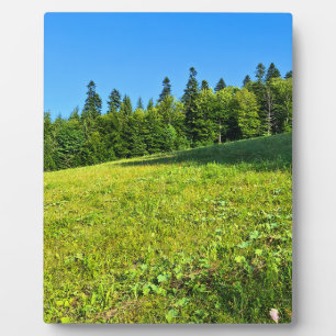 Karpaten-Grünwiese – Rumänien Bergdruck Fotoplatte