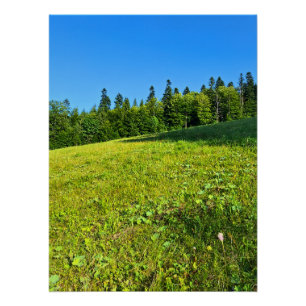 Karpaten-Grünwiese – Rumänien Bergdruck Poster