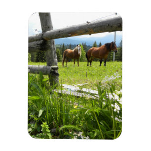 Karpatenberge - Ukraine Magnet