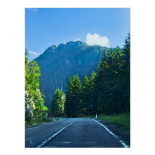 Karpatenwaldstraße – Rumänien Bergdruck Poster
