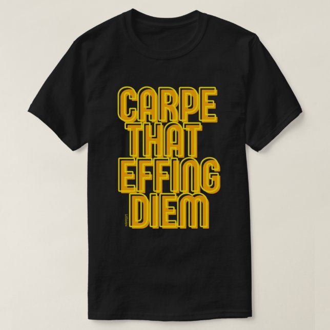 KARPE, DAS FLIESEN DIEM lustige latin Zitat        T-Shirt (Design vorne)