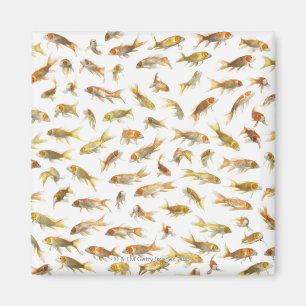 Karpfen (Cyprinus Carpio) 2 Magnet