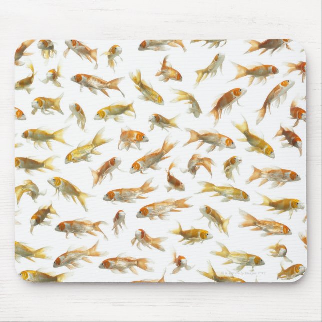 Karpfen (Cyprinus carpio) 2 Mousepad (Vorne)