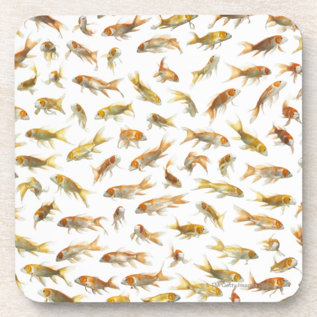 Karpfen (Cyprinus Carpio) 2 Untersetzer (Vorderseite)
