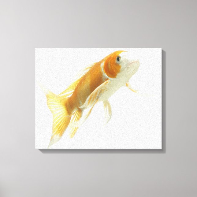 Karpfen (Cyprinus carpio) Leinwanddruck (Vorderseite)