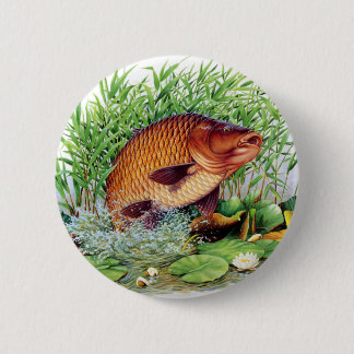 Karpfen-Fischen Button