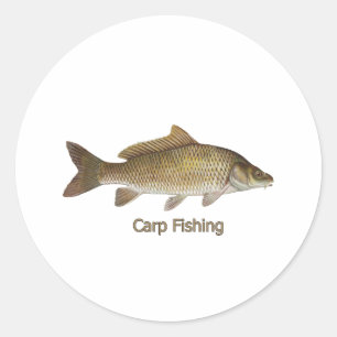 Karpfen-Fischen Runder Aufkleber
