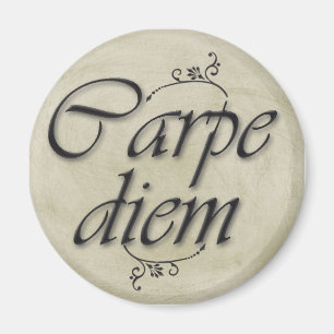 Karpfen Magnet