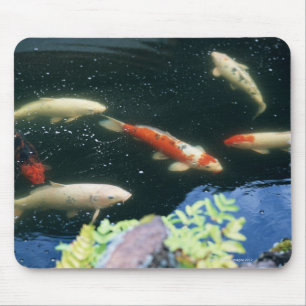 Karpfen Mousepad