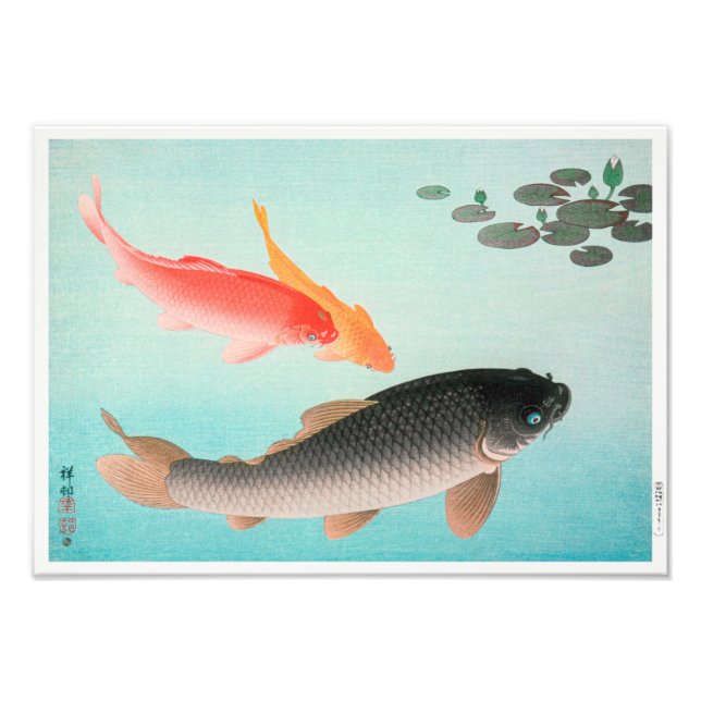 Karpfen | Ohara Koson | Fotodruck (Vorne)