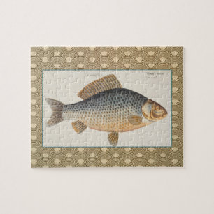 Karpfenfisch Fischmalerei Süßwasserzeichnung 