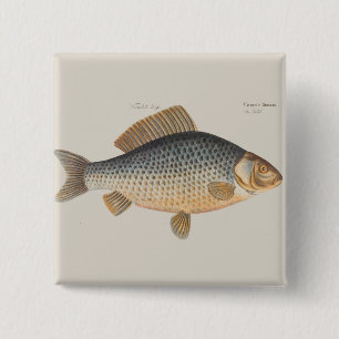 Karpfenfisch Fischmalerei Süßwasserzeichnung Button