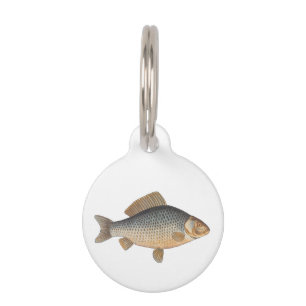 Karpfenfisch Fischmalerei Süßwasserzeichnung Haustiermarke