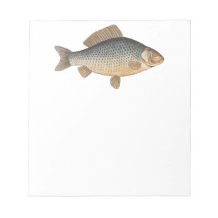 Karpfenfisch Fischmalerei Süßwasserzeichnung Notizblock