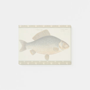 Karpfenfisch Fischmalerei Süßwasserzeichnung  Post-it Klebezettel