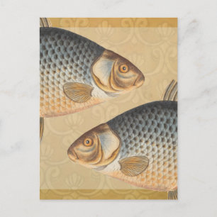 Karpfenfisch Fischmalerei Süßwasserzeichnung  Postkarte