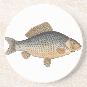 Karpfenfisch Fischmalerei Süßwasserzeichnung Sandstein Untersetzer