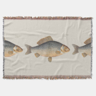 Karpfenfisch Malerei Süßwasser Zeichnung  Decke