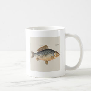 Karpfenfisch Malerei Süßwasser Zeichnung Kaffeetasse