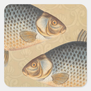 Karpfenfisch Malerei Süßwasser Zeichnung Quadratischer Aufkleber